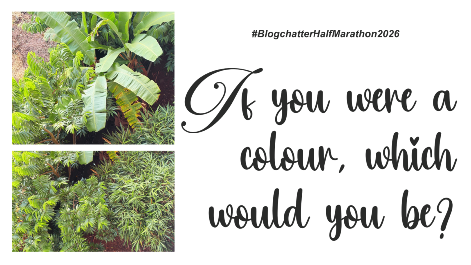 colour